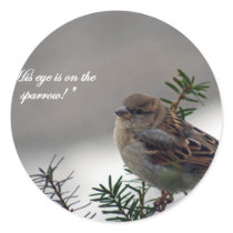 Sparrow, His eye is on the Sparrow!