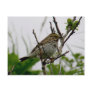 Sparrow on a Twig, Unalaska Island