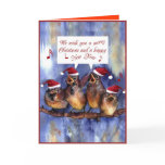 sparrows wishing merry christmas cards