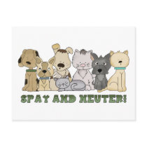 Spay and Neuter Postcards