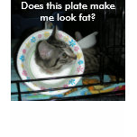 spay and neuter your pets t-shirts