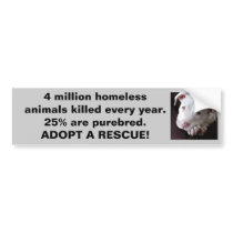 Spay Neuter Adopt Bumpersticker