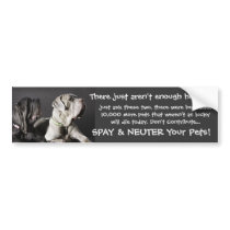 Spay/Neuter Sticker Bumper Stickers