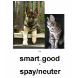 spay neuter t-shirts