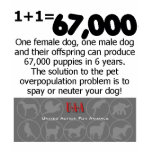 spay neuter your pets t-shirts