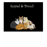 spayed and proud Ladies t-shirt