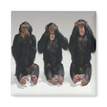 Speak No See No Hear No Evil Monkeys Magnet