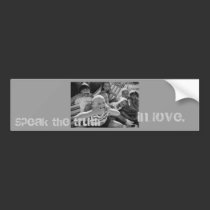 Speak The Truth In Love Rollercoaster Ride bumper stickers
