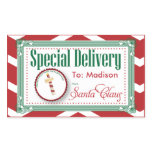 Special Delivery Christmas gift tag Stickers