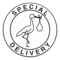 Special Delivery Stickers