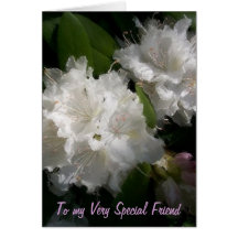 Special Friend Greeting Cards