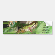 Speckled Frog in the Pepper Plant Bumper Stickers