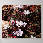 Speckled Purples posters