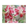Speckled & Red! Postcard