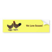 Speckled Sussex Chickens