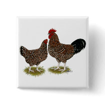 Speckled Sussex Chickens