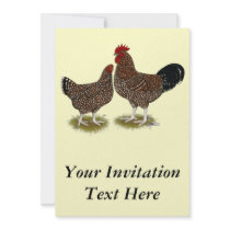 Speckled Sussex Chickens
