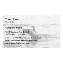 Spectacked Eider Drake Business Card