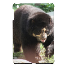 Spectacled Bear iPad Mini Covers