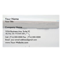 Spectacled Eider Drake in Flight Business Cards