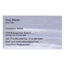 Spectacled Eider Drakes Business Card Templates