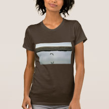 Spectacled Eiders Shirt