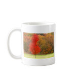 Spectacular Fall Colours mugs