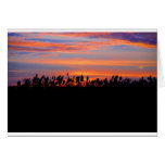 Spectacular Sunset Cards