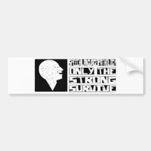 Speech Language Pathology Survive Bumper Sticker