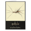 speedspider cards