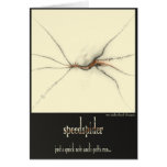 speedspider cards