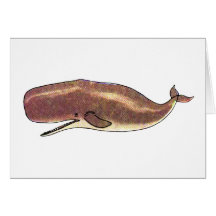 Sperm Whale Greeting Cards
