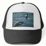 Sperm Whale hats