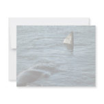 Sperm Whale invitations