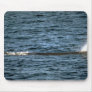 Sperm whale mousepad