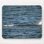 Sperm whale mousepads