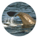 Sperm whale stickers
