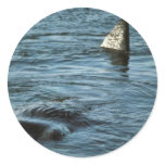 Sperm Whale stickers