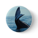 Sperm Whale Tail buttons