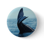Sperm Whale Tail buttons