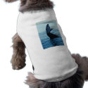 Sperm Whale Tail pet clothing