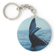 Sperm Whale Tail Key Chain