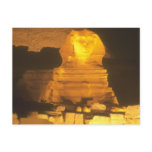 Sphinx at Night Postcard