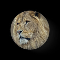 Sphinx Badge buttons