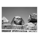 Sphinx business cards