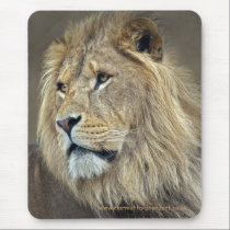 Sphinx Mousemat mousepads