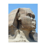 sphinx no nose postcards