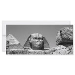 Sphinx rack cards