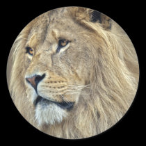 Sphinx Sticker