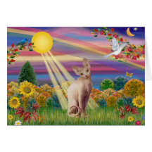 Sphjynx Cat 1 - Autumn Sun Cards